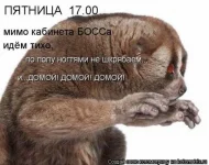 П2.webp