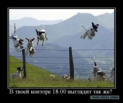1 (5).webp
