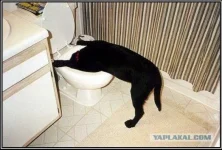 1 (6).webp