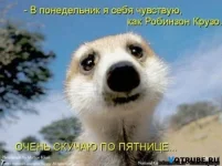 1253469925_ponedelnik-den-tjazhelyjj-(www.votrube.ru)2.webp