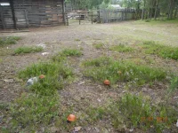 DSCN0116.webp