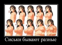 0_68429_dd8cc97f_orig.webp