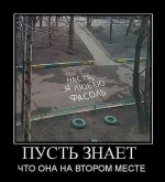 фасоль.webp