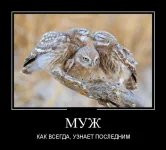 1349851256_demotivatory_23.webp