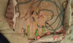 IMAG0125.webp IMAG0125.webp