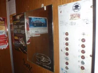 PA210013.webp
