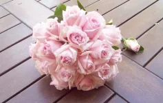 71106812_3017865_tumblr_lbnbp11iow1qcxp0ao1_500.webp