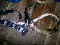 2012-10-19-187.webp