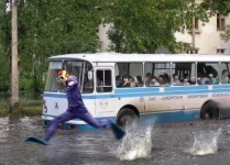 рыбное место здали.webp