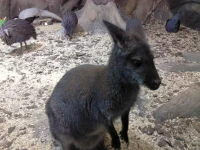 IMG_20121008_093447.webp