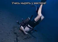 21716_546095985416125_359928770_n.webp