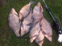 09052012955.webp