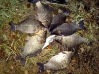 02112012425.webp