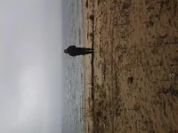 20121104_104817.webp