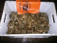 2012-11-08-264.webp