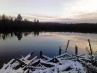 IMG_20121108_103927.webp