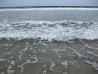 IMG_0776.webp