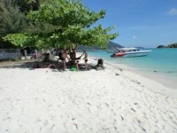 DSC03582.webp