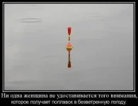 318904_538501919510518_678950853_n.webp