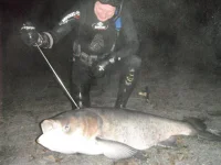 DSCF2051.webp