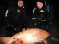 DSCF2055.webp