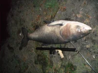 DSCF2052.webp