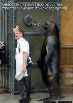 1CtMMhQYiZgК.webp