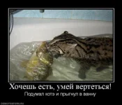 Xl25uucJ0fEК.webp