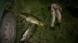 2012-11-10-076.webp
