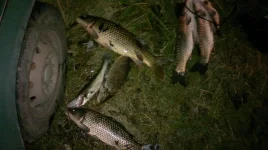 2012-11-10-077.webp