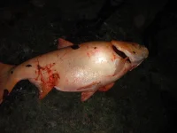 DSCF2054.webp
