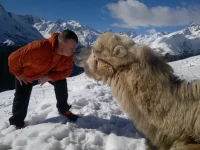 2012-11-12-303.webp