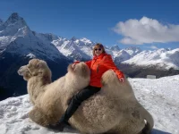 2012-11-12-297.webp