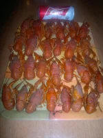2012-11-15-318.webp