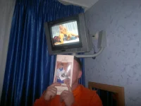 2012-11-16-327.webp