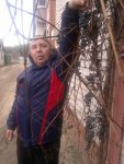 2012-11-16-348.jpg