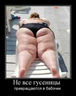 1340355617_13395926.webp