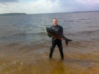 09072011096.webp