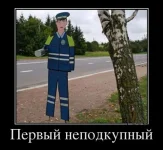 s3img_97882525_3676_0.webp