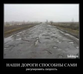 135328212385431.webp