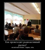 135328215448328.webp