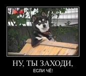 s3img_12398122_76233_8.webp