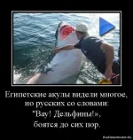 s3img_161461572_47753_1.webp