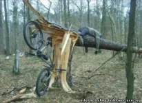 2a7866d6a999.webp