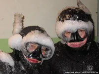 74613ec00aed.webp