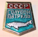 ef4cef73c4b2.webp
