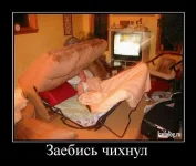 30525376.webp