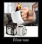 30672846.webp