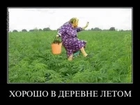 31058598.webp