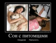 31077933.webp